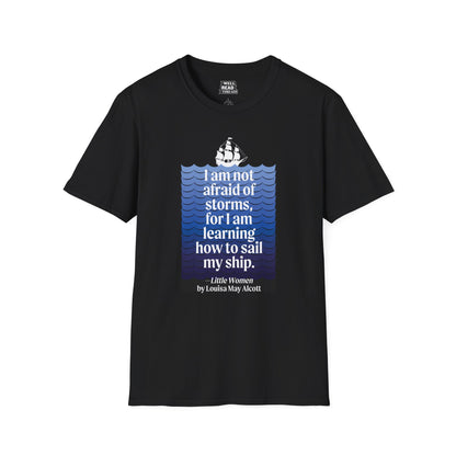 I Am Not Afraid of Storms, quote from Little Women